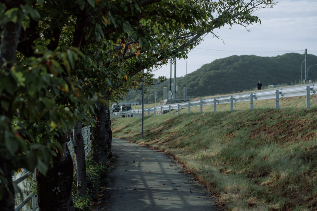 SONYα7C II / SIGMA 105mm F2.8 DG DN MACROで撮影した紅葉間近な桜並木